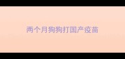 两个月狗狗打国产疫苗