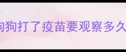 狗狗打了疫苗要观察多久