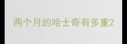 两个月的哈士奇有多重