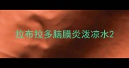 拉布拉多脑膜炎泼凉水