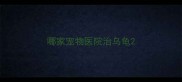 哪家宠物医院治乌龟