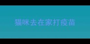 猫咪去在家打疫苗