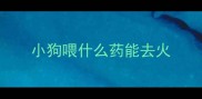 小狗喂什么药能去火
