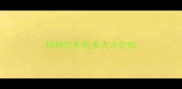 纯种拉布拉多犬大价格