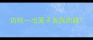 边牧一出笼子发疯的跳