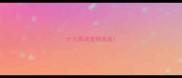 十三高端宠物美容