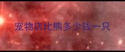 宠物店比熊多少钱一只