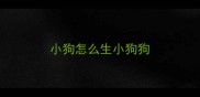 小狗怎么生小狗狗