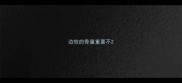 边牧的骨量重要不