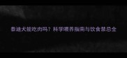 泰迪犬能吃肉吗科学喂养指南与饮食禁忌全