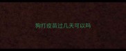 狗打疫苗过几天可以吗