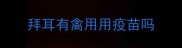拜耳有禽用用疫苗吗