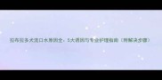 拉布拉多犬流口水原因全5大诱因与专业护理指南附解决步骤