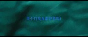 两个月高加索好养吗