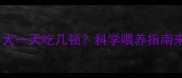边牧成年犬一天吃几顿科学喂养指南来啦