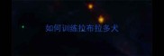 如何训练拉布拉多犬