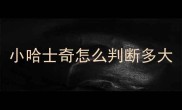 小哈士奇怎么判断多大