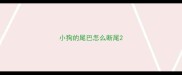 小狗的尾巴怎么断尾