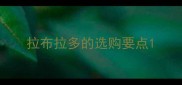拉布拉多的选购要点