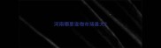 河南哪里宠物市场最大