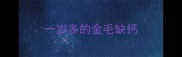 一岁多的金毛缺钙