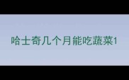 哈士奇几个月能吃蔬菜