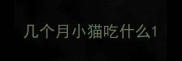 几个月小猫吃什么