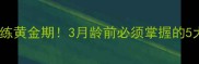 泰迪幼犬训练黄金期3月龄前必须掌握的5大关键技能