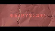 泰迪太肥了怎么减肥