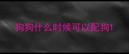 狗狗什么时候可以配狗