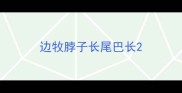边牧脖子长尾巴长