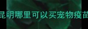 昆明哪里可以买宠物疫苗