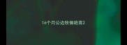 16个月公边牧做绝育