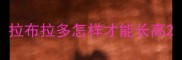 拉布拉多怎样才能长高