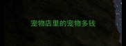 宠物店里的宠物多钱