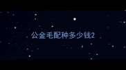 公金毛配种多少钱