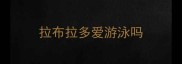 拉布拉多爱游泳吗