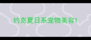 约克夏日系宠物美容
