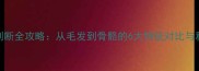 泰迪犬年龄判断全攻略从毛发到骨骼的6大特征对比与科学养护指南