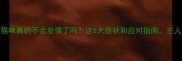 绝育后猫咪真的不会发情了吗这5大症状和应对指南主人必看