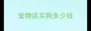 宠物店买狗多少钱