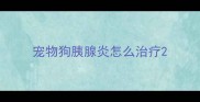 宠物狗胰腺炎怎么治疗