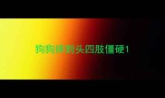 狗狗摔到头四肢僵硬