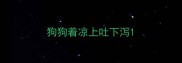 狗狗着凉上吐下泻