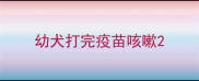 幼犬打完疫苗咳嗽