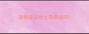 宠物店买哈士奇靠谱吗