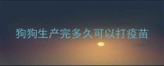狗狗生产完多久可以打疫苗