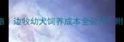 红陨石边牧价格边牧幼犬饲养成本全公开附购买避坑指南