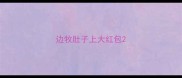 边牧肚子上大红包
