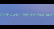 金毛犬补钙全攻略牛奶补钙的科学依据与正确方法